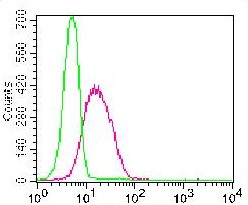 Monoclonal Antibody to Vista (Clone: ABM5C53)